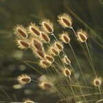 W środę nie odpoczniemy od upałów. Sprawdź prognozę pogody 