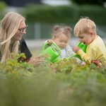 Dlaczego warto wybrać Przedszkole i Żłobek Norlandia Sybiraków?