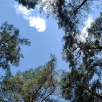 Słoneczny weekend w stolicy województwa podlaskiego! Sprawdź prognozę pogody 