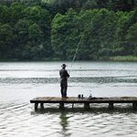 Najlepsze łowiska w województwie podlaskim. Gdzie warto pojechać na ryby? [LISTA]