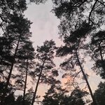 Ochłodzenie i deszcz. Wtorek przyniesie zmianę pogody