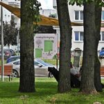 W lawendowym parku kieszonkowym pojawił się nowy element. Uchroni przed ptasią fizjologią 