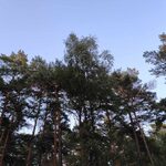 Ostatni weekend lipca! Jaka będzie pogoda?