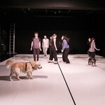 Świat po apokalipsie oczami zwierząt. "Pupile" na scenie Teatru Szkolnego