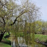 Przed nami ciepły weekend w Białymstoku. Ile będzie stopni?
