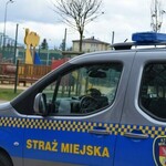 Myślisz o pracy w służbach? Straż Miejska rekrutuje. Zobacz, jakie są wymagania