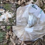 Truchła porzucone w worku - makabryczne znalezisko w lesie
