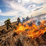 Pożar w Biebrzańskim Parku Narodowym. Trwa walka z żywiołem