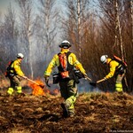 Pożar w Biebrzy. Czerwone Bagno ocalało, ale straty w przyrodzie są poważne