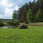 Arboretum w Kopnej Górze. Oaza natury w sercu Puszczy Knyszyńskiej [ZDJĘCIA]