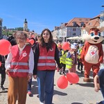 Czerwony Krzyż świętuje w Białymstoku – dzień empatii i solidarności