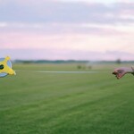 Cyfryzacja geodezji w Podlaskiem na pół gwizdka – co zawiodło?