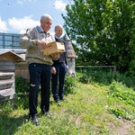 Białostockie pszczoły produkują coraz więcej miodu. Rozpoczęło się miejskie miodobranie