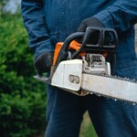 Właściciele działek zyskają większą swobodę. Będą zmiany w zasadach wycinki drzew?