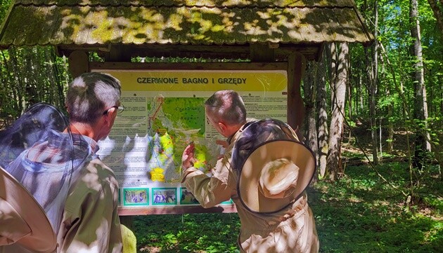 Grzędy w Biebrzańskim Parku Narodowym. Naturalne barcie i edukacja o dzikich pszczołach