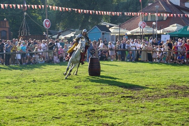 Konie, szable, warsztaty i ognisko. Tak zapowiada się XV Dzień Tradycji Rzeczypospolitej