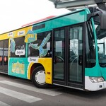Za 8 zł po całym Podlasiu. Rusza autobus Turystyczna Ósemka!