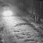 Migranci atakują patrole na granicy. Zatrzymano dwóch kurierów