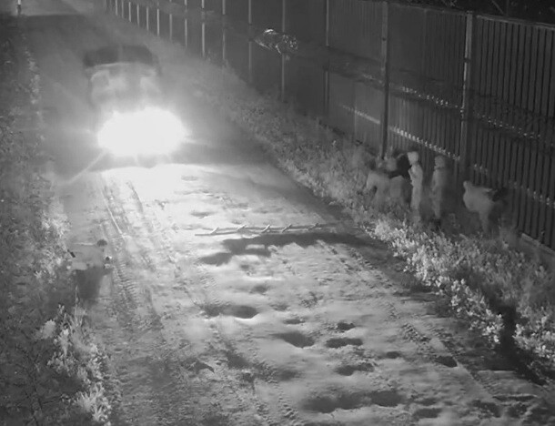 Migranci atakują patrole na granicy. Zatrzymano dwóch kurierów