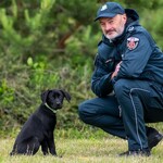 Mała Zora w służbie KAS. Labrador szykuje się do tropienia przemytników