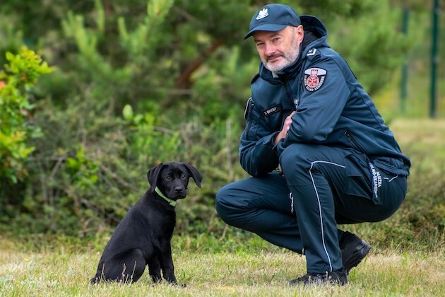 Mała Zora w służbie KAS. Labrador szykuje się do tropienia przemytników