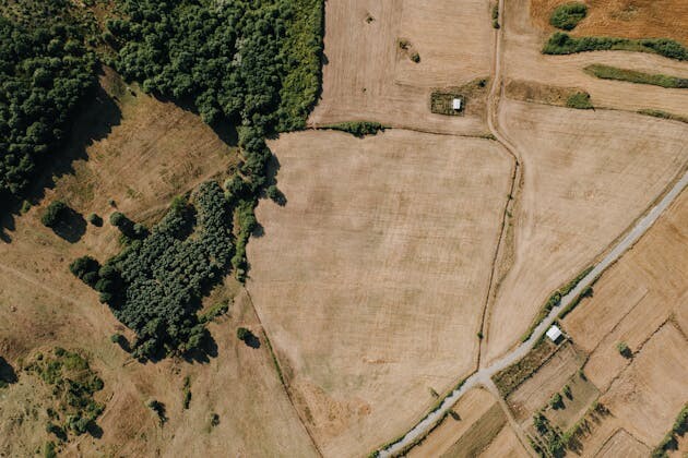 Miasto sprzedaje dwie działki. Zarobi na nich ponad 2,6 mln zł