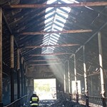 Tragiczny pożar obory w regionie. Spłonęło ponad 100 sztuk bydła