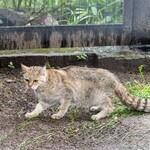 Akcent ZOO ma nowego mieszkańca. To wyjątkowy i rzadki gość