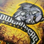 Finał Polskiej Futbol Ligi nie dla Lowlanders