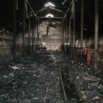 Pożar obory w gminie Zawady. Krowy spłonęły żywcem