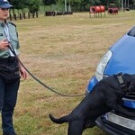 Zespół kynologiczny z podlaskiej KAS najlepszy w Polsce