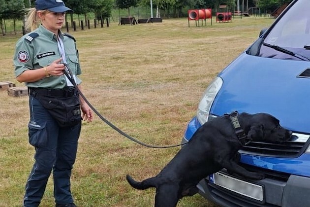 Zespół kynologiczny z podlaskiej KAS najlepszy w Polsce