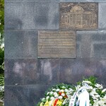 "Białystok pamięta". Wolontariusze będą rozdawać niezapominajki