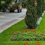 Rewaloryzacja Parku Planty. Zieleń wzbogacana jest o nowe rośliny