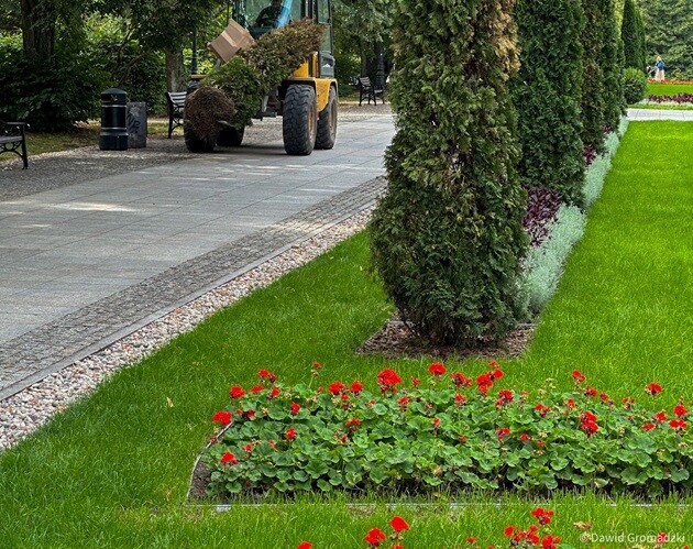 Rewaloryzacja Parku Planty. Zieleń wzbogacana jest o nowe rośliny