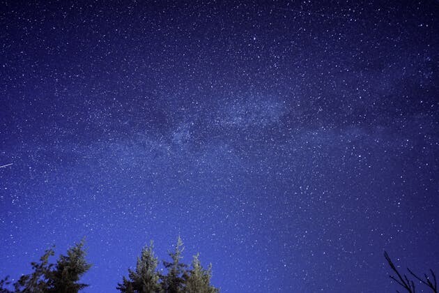 Spadające gwiazdy w Podlaskiem. Gdzie pojechać na Noc Perseidów?