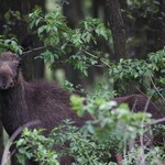 Długi weekend w Narwiańskim Parku Narodowym. Sprawdź dostępne atrakcje