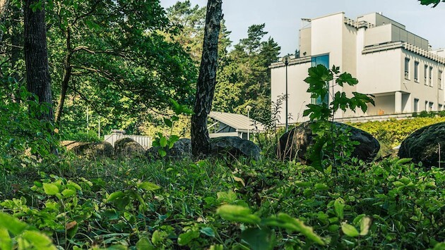 W Białymstoku powstanie Park Bioróżnorodności. Gdzie się będzie znajdował?