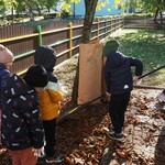 Białystok rusza z akcją ratowania kasztanowców. Każdy może się przyłączyć