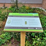 Nowe tablice w Narwiańskim Parku Narodowym. Mają inspirować do nauki w plenerze
