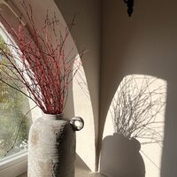 Prywatny Gabinet Specjalistyczny dr n. med. spec. psychiatra Dorota Napiórkowska-Łaguna