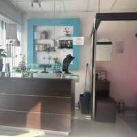Linea Studio