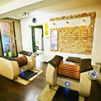 Linea Studio