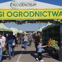 eko bazarek