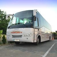 Faworyt Transport i usługi - maszyny budowlane