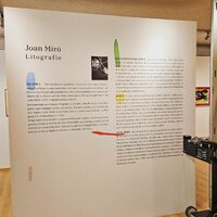 Ścianodruk - Profesjonalny druk ścienny