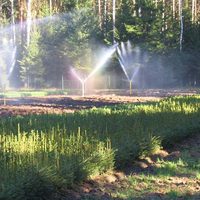 Garden - baseny, wanny spa, systemy nawadniające