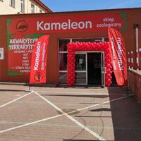 Kameleon. Sklep zoologiczny