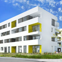 Rogowski Development