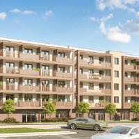 Rogowski Development